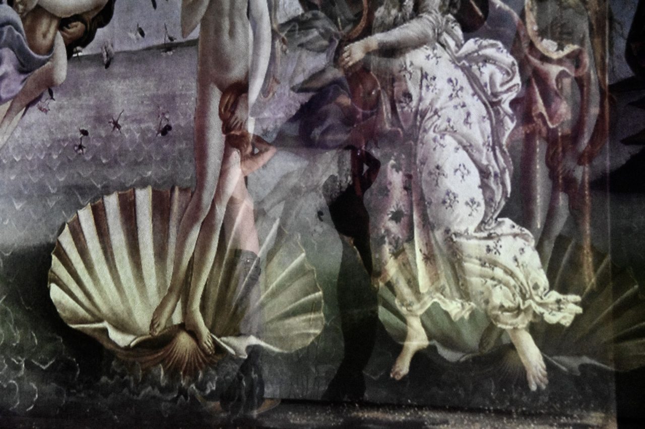 VENUS_between-caaptivity-and-flight_foto_Petra-Veber_1107-2(1)