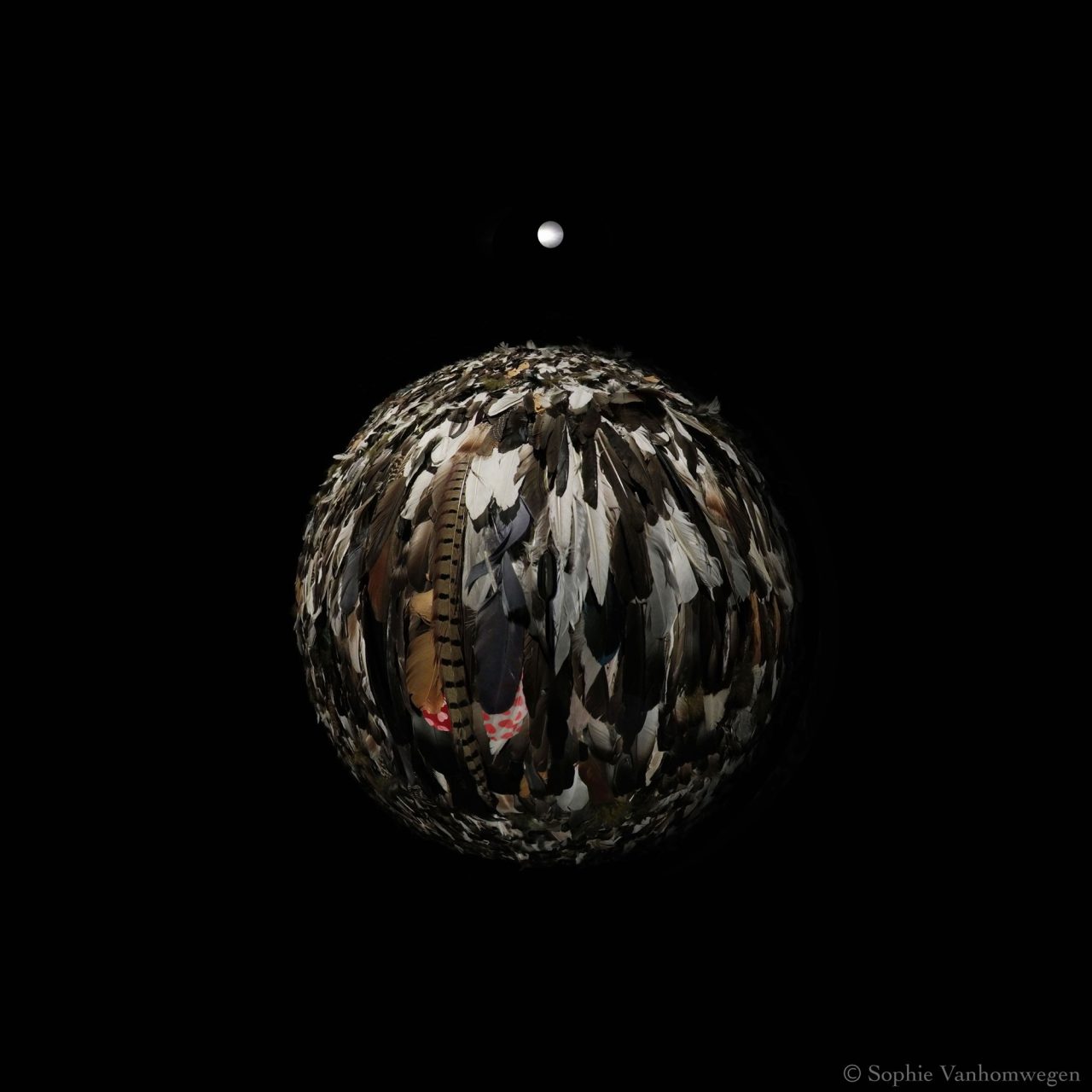 Birth_highres